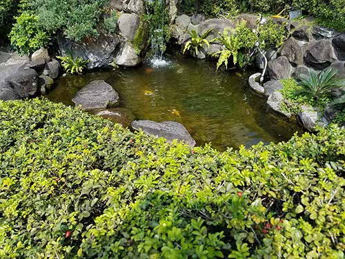 Beitou