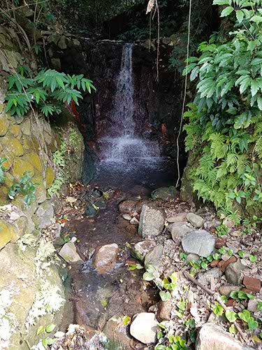 Beitou