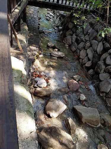 Beitou