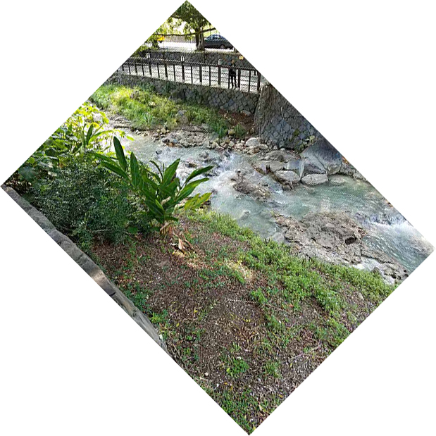 Beitou