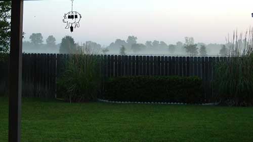Fog