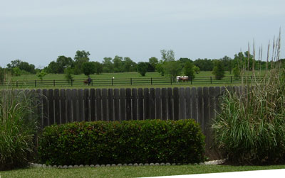 Ranch across the road