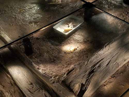 York Jorvik Center