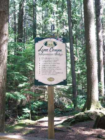 Lyn Canyon