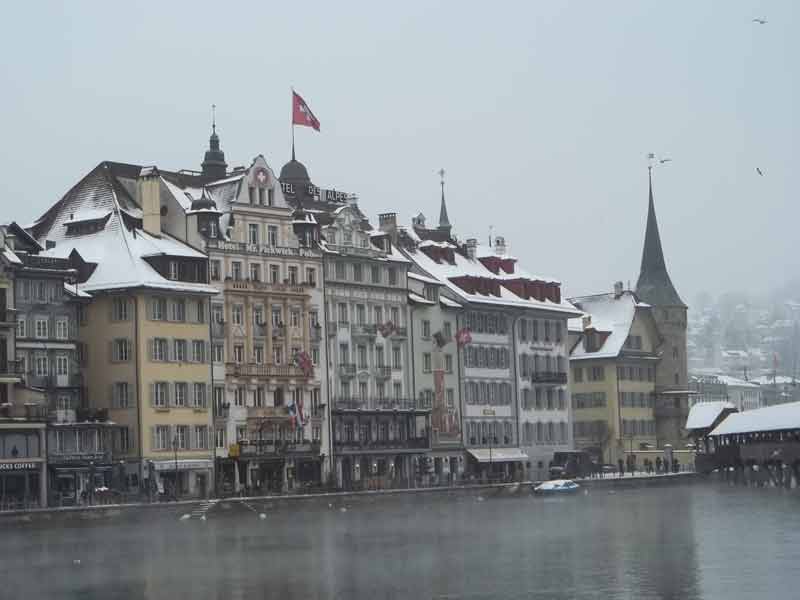 lucerne