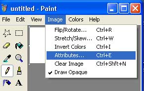 Paint Options